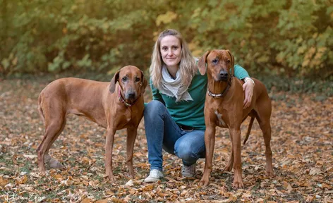 Vanessa Wahn – Hunde im Gleichgewicht aus Gedern