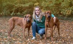 Vanessa Wahn – Hunde im Gleichgewicht